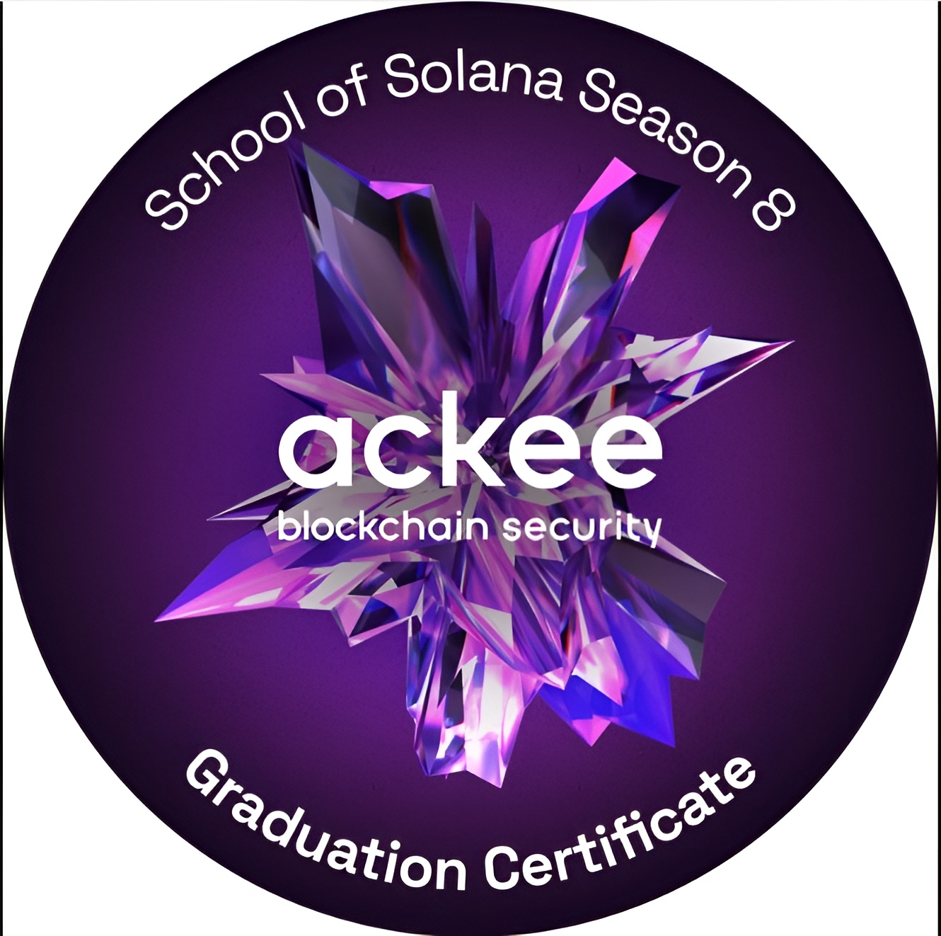 School of Solana Season 8 Graduate